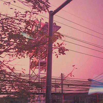 永乐体育app苹果版